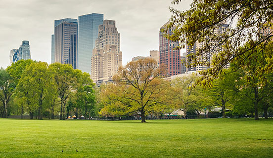 기업의 사회적 책임