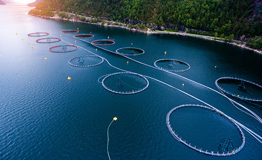 Aquaculture Stewardship Council