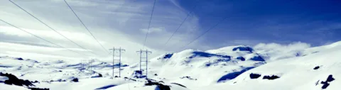 Batteries in the distribution network