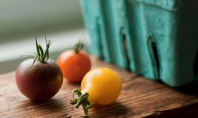 BRCGS 글루텐프리 인증 교육(Issue3): 심사원 교육