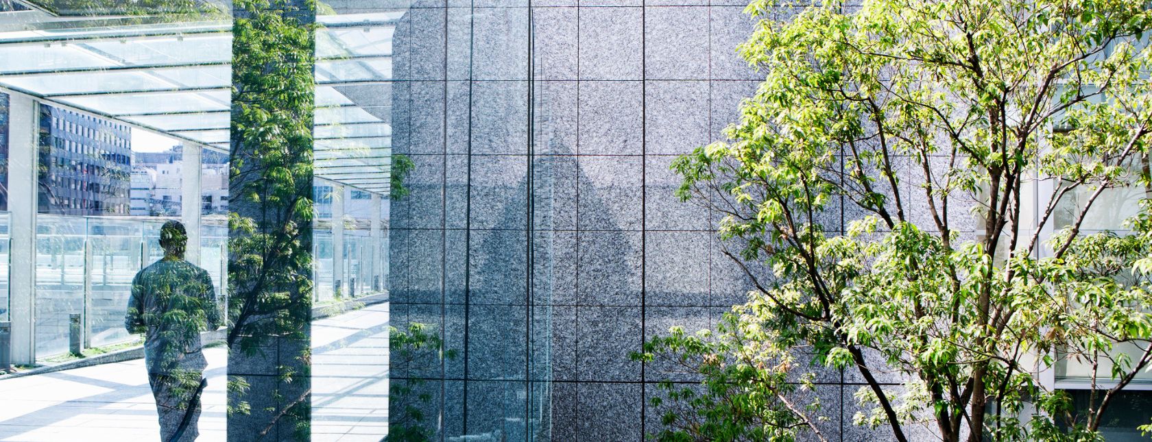 Silhouettes of a green tree and the business man walking