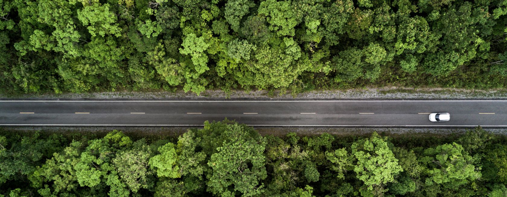 Aerial view of road through the green forest