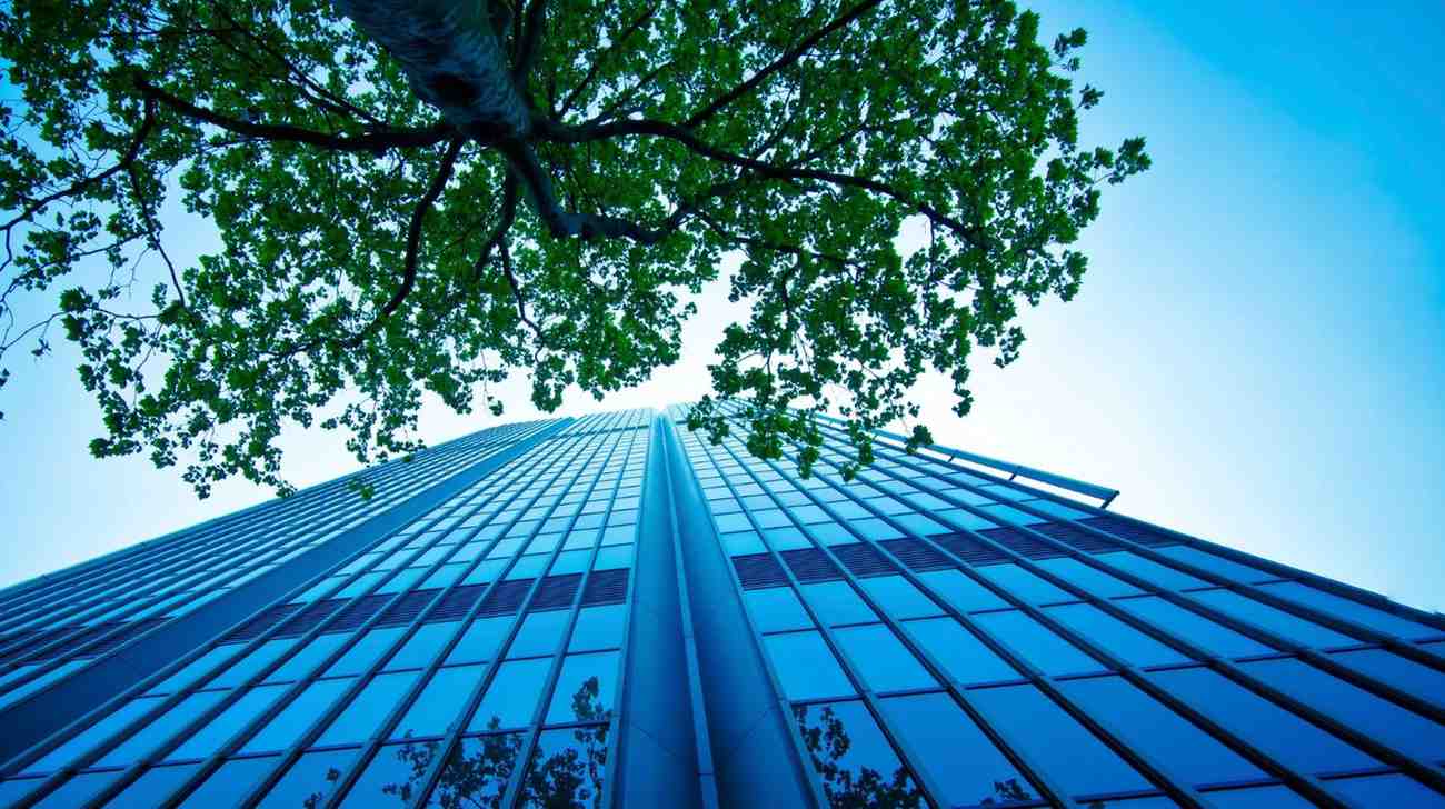 Modern office building and a tree