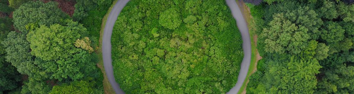 Circular Economy Action Plan_1134x300