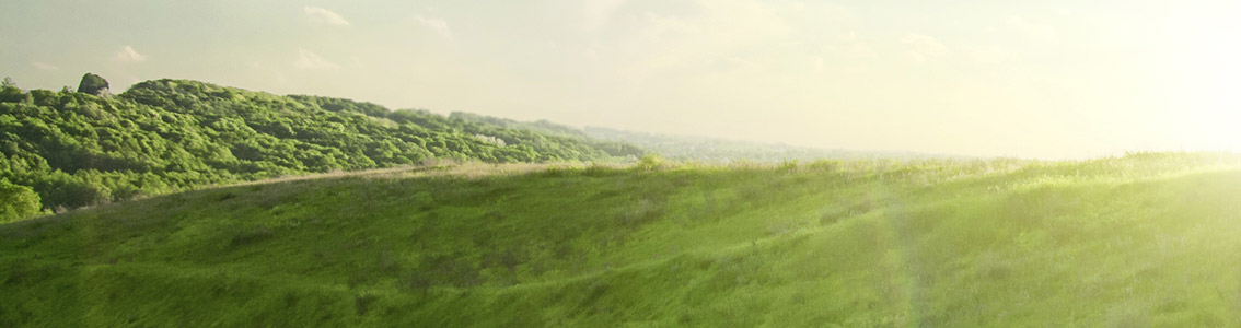 Do companies care about the environment  - survey by DNV GL