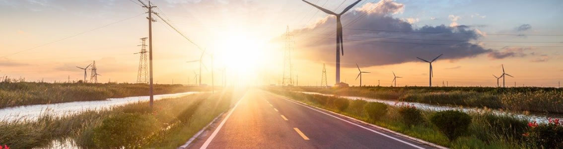 Renewables Integration Survey