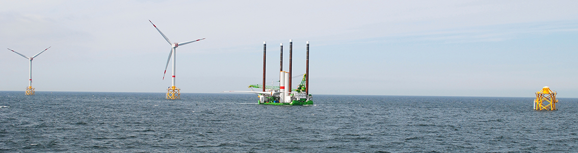 Value chain assessment