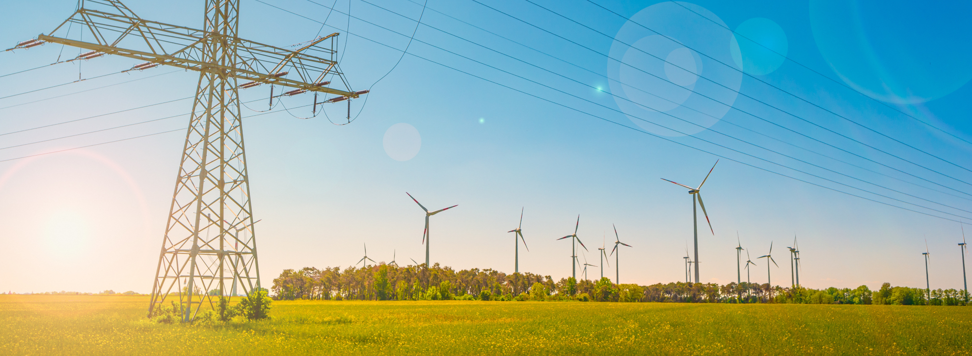 생물다양성과 환경