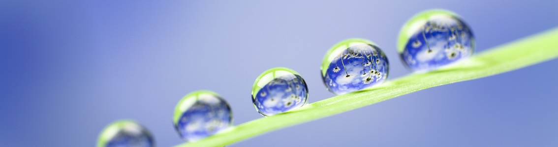 HSE Compliance management