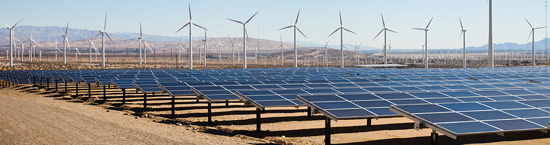 Technisches Projektmanagement für erneuerbare Energien