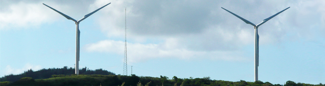 Wind turbine type testing