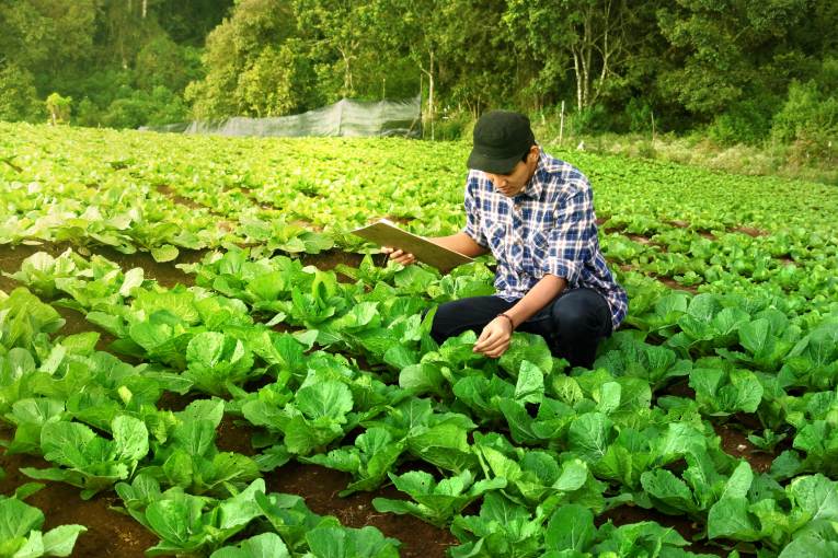 Farm to Fork Strategy