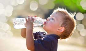 Food Safety Culture 식품안전문화