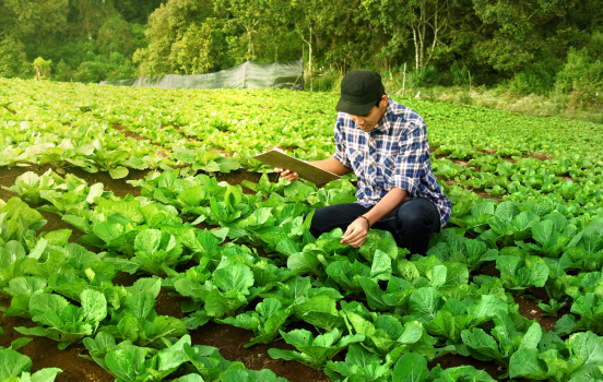 식품안전 분야 교육