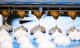 FSSC 22000 식품안전경영시스템