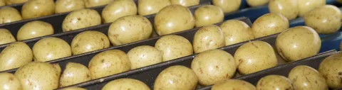 GLOBALG.A.P. IFA Fruit-and-vegetables