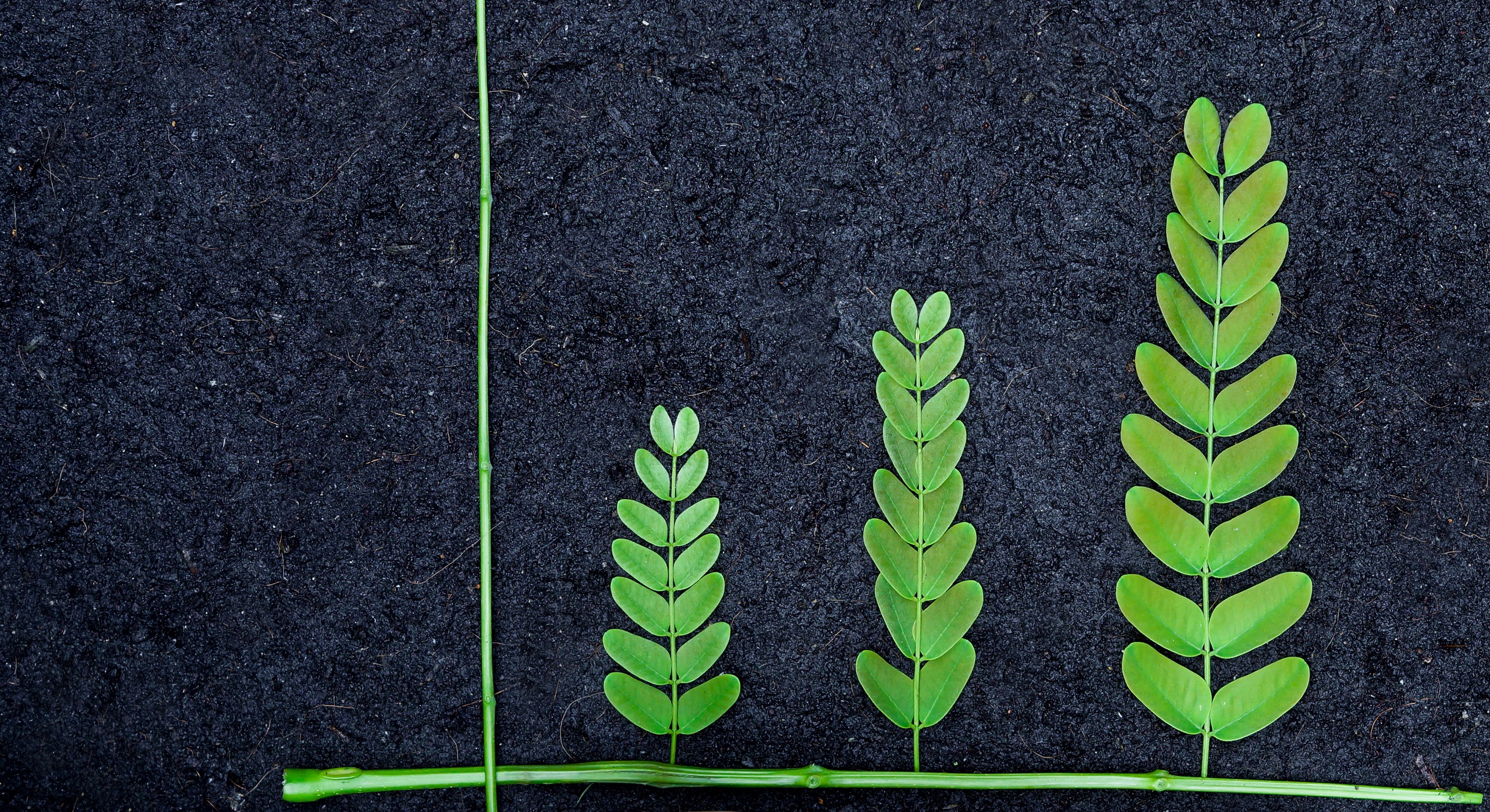 브로슈어 다운로드