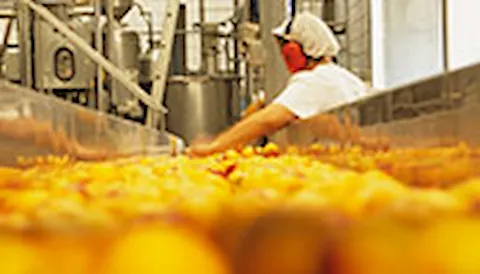 HACCP 해썹(위험 분석 및 중요 관리 지점)