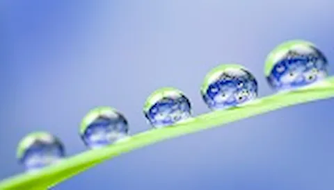 HSE compliance management