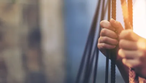 인권 실사 서비스(Human rights due diligence services)