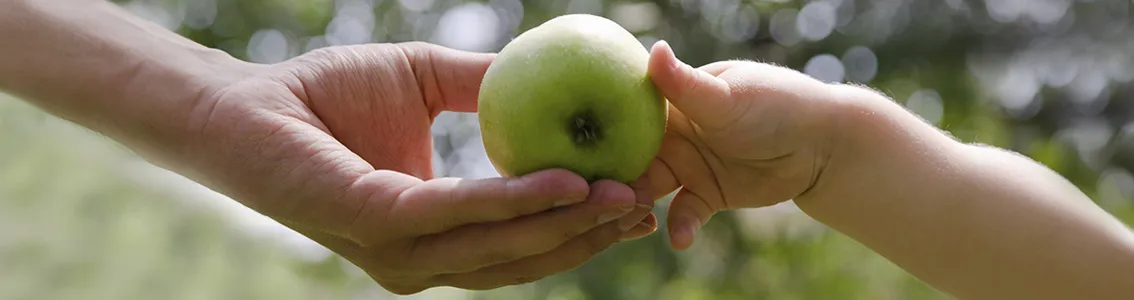 An adult hand and a child's hand both holding the same green apple