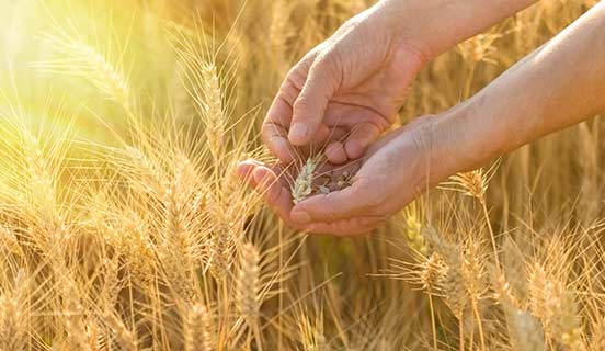 소개자료, 브로셔, 발간보고서