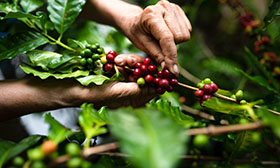 측정 및 보고(Measuring & Reporting)