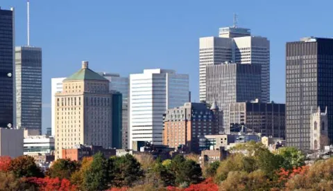 ISO 21502 – 프로젝트 관리 시스템