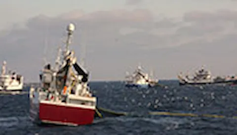 MSC Fisheries 해양관리협의회 어업