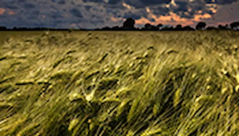 풍력 발전용 터빈 설치를 위한 현장 조건