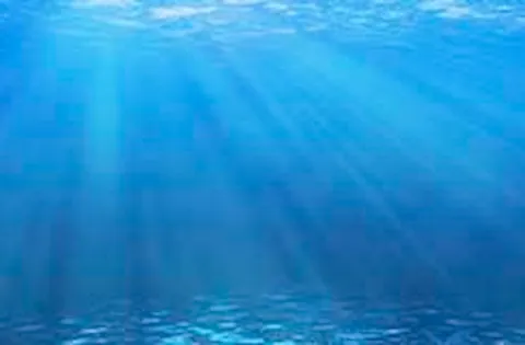 Sesam for moorings and risers