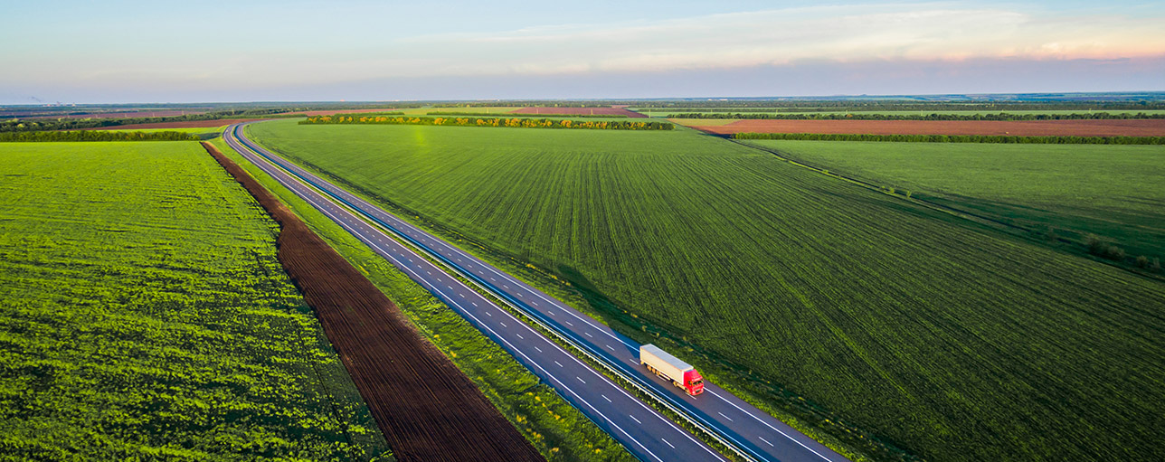 Sustainable Food Systems and Supply Chains