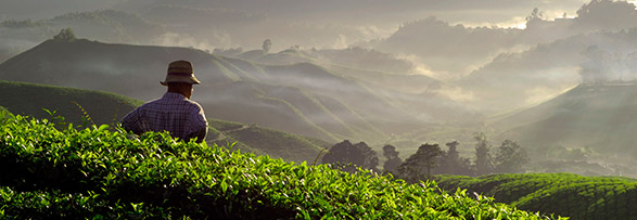 공급업체 평가 및 모니터링