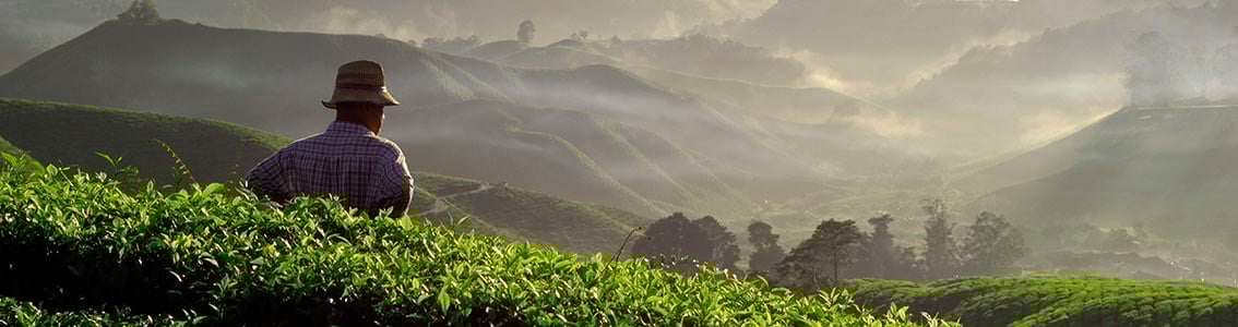 Sustainable sourcing services by DNV GL