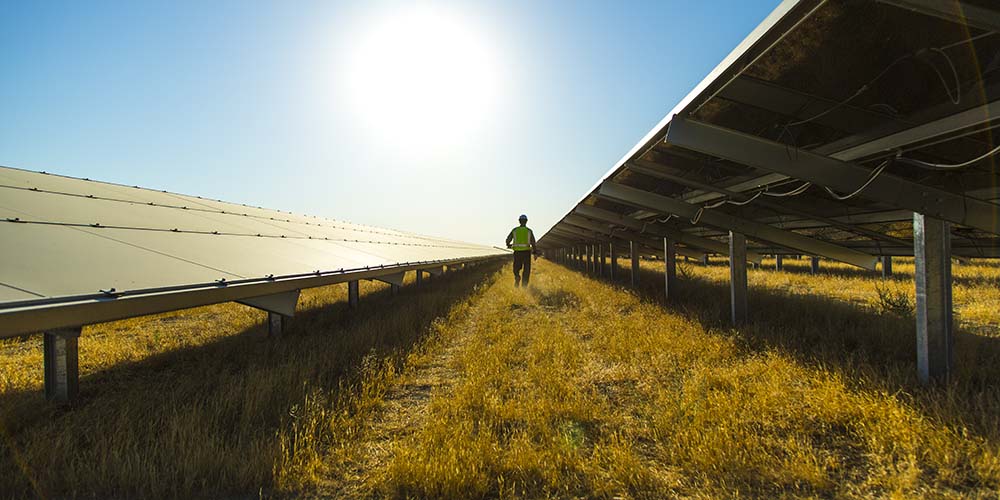 Synergi Electric - Protection over-current protective devices