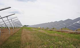 Synergi Electric - Publishing