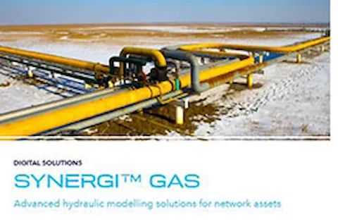 Synergi Gas 브로셔