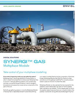 Synergi Gas - Multiphase 리플렛