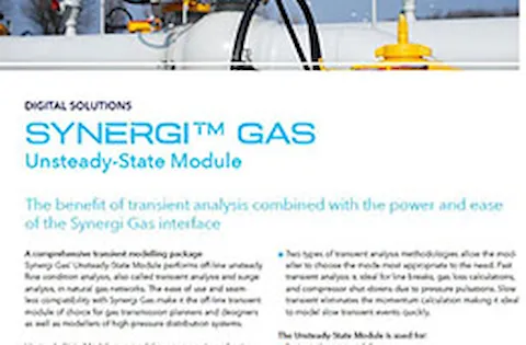 Synergi Gas - Unsteady-State 리플렛