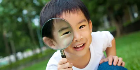 Audit program - Audit software - Synergi Life - Audit management