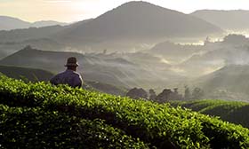 Synergi Life - Third Party Management and third party risk management