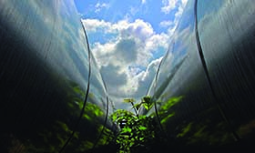 Synergi Pipeline - Pipeline integrity management