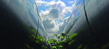 Synergi Pipeline 모듈