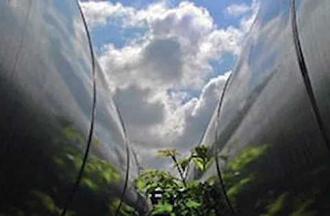Synergi Pipeline