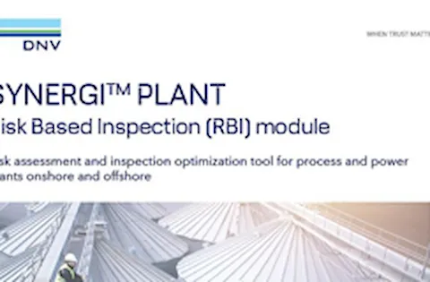 Synergi Plant - RBI - 리플렛