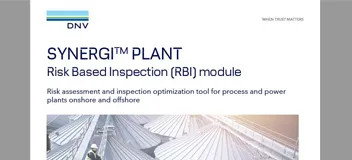 Synergi Plant - RBI - 리플렛