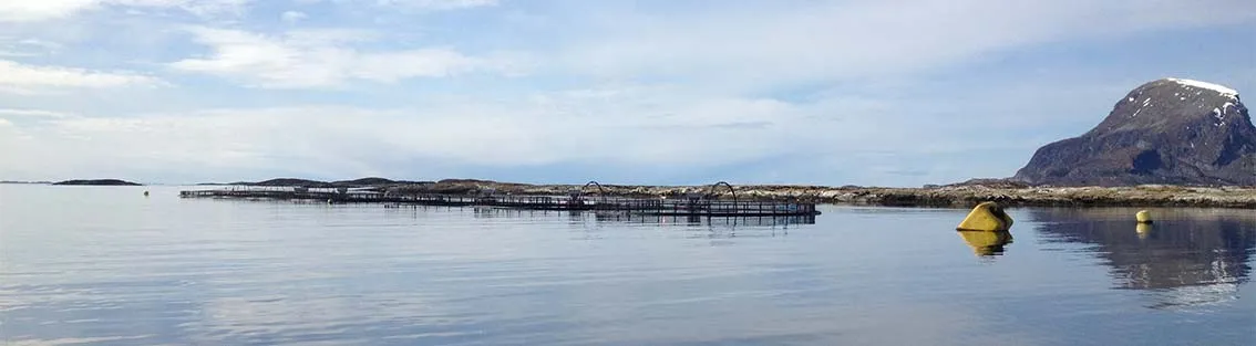 Fish farm in the North of Norway