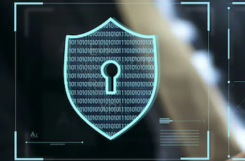 Privacy & Information Security