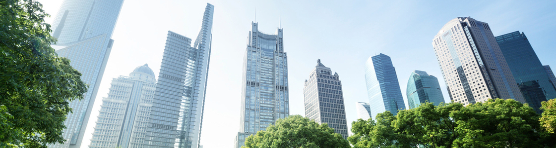 Scyscrapers seen from a park